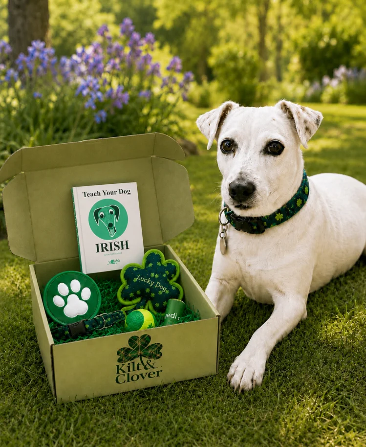Lucky Dog Gift Box